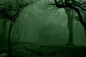 December Night Shift Disappearances: Unsolved Cases and Eerie True Stories from Winter