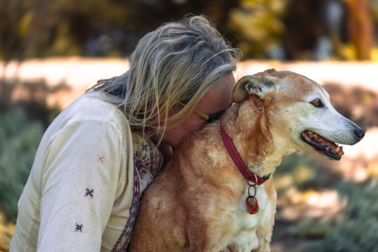 Animal Energy Healing in 2026: Emerging Trends and Modalities - NightShiftTales